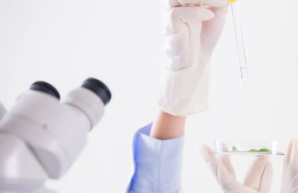 日本のお客様のニーズに合わせた商品開発